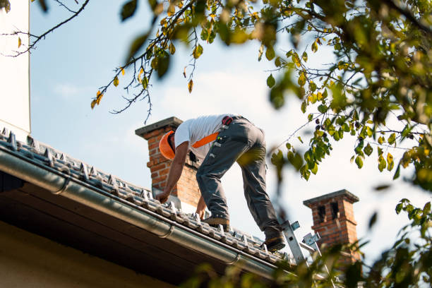 Best Metal Roofing Contractor  in Laurel Springs, NJ